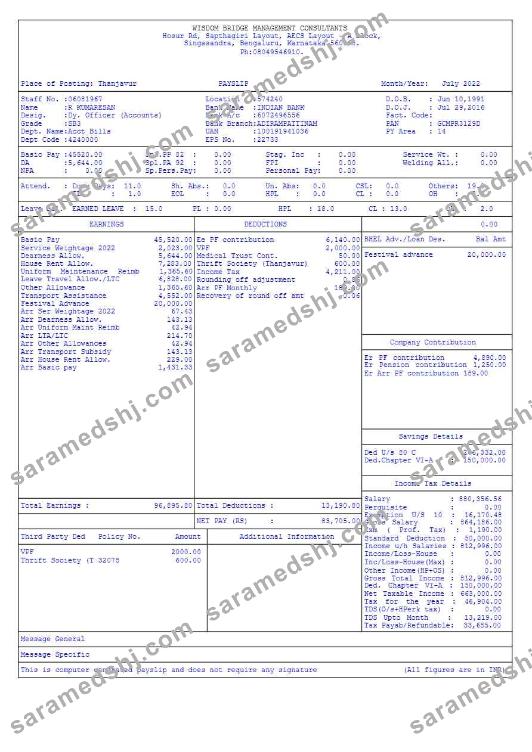 Wisdom Bridge Management Consultants payslip template in Word and PDF formats.pdf, 3